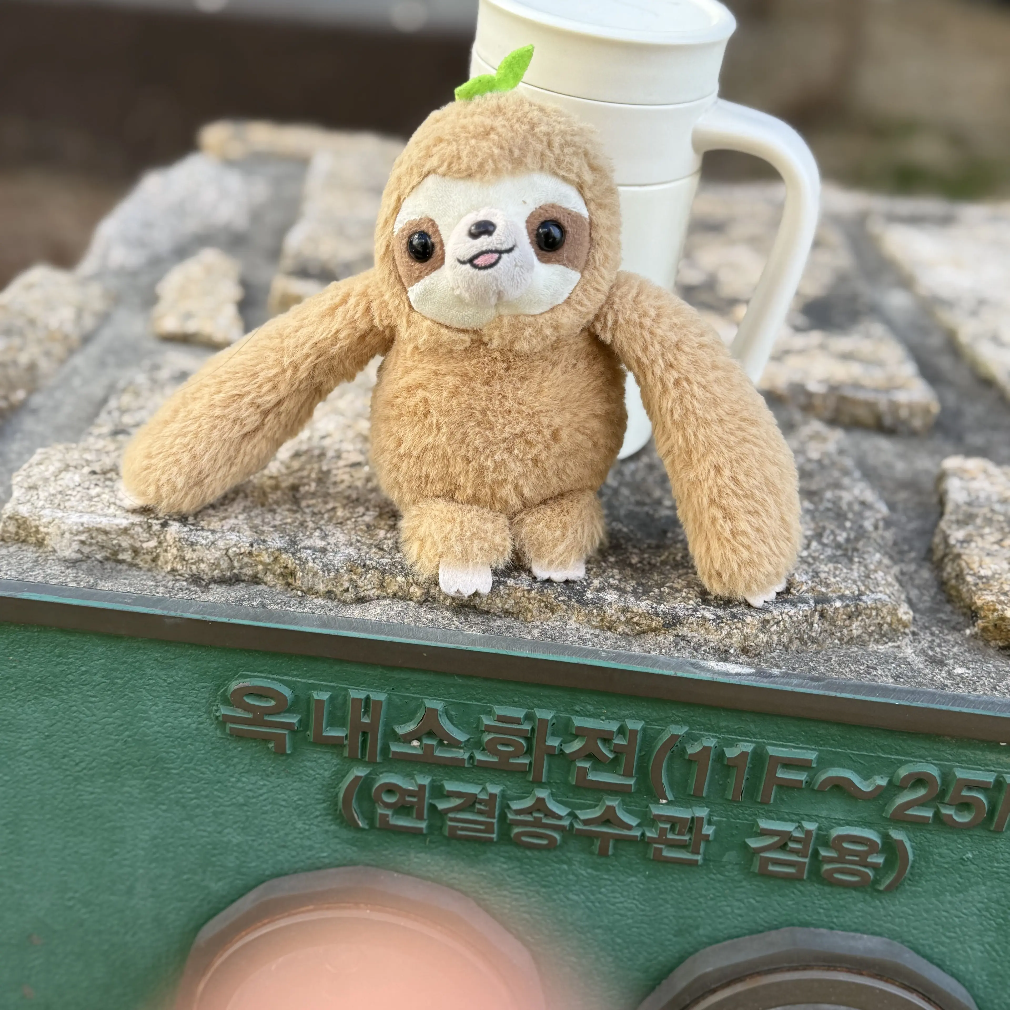 LoyalKrill5096의 곽도윤