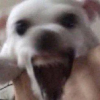 애비하이드