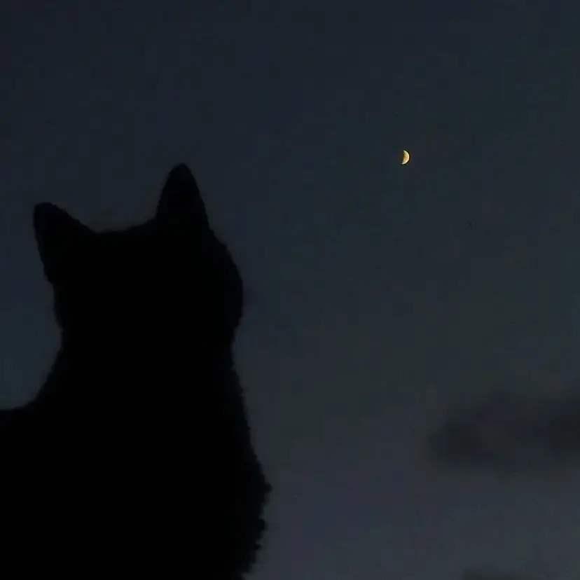 hoku.6.18.의 激愛彼氏