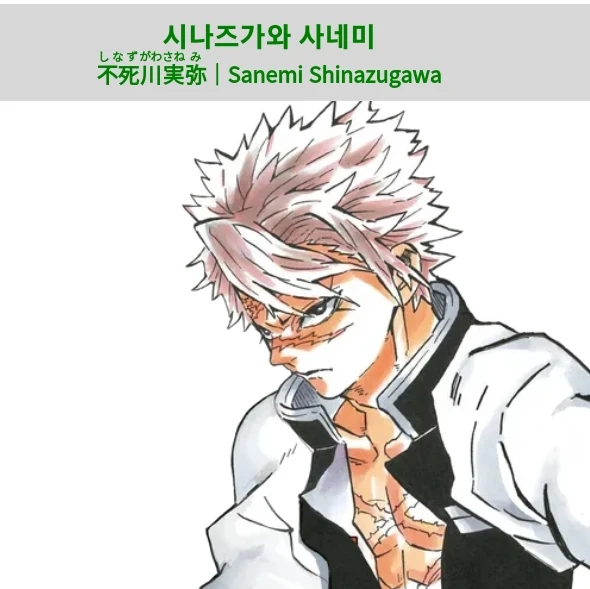 시나즈가와 사네미