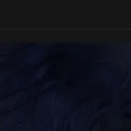 Profile image of 여우