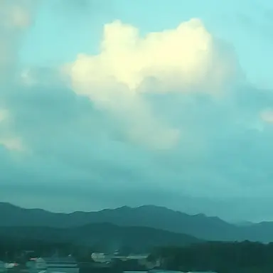 Profile image of 잠뜰