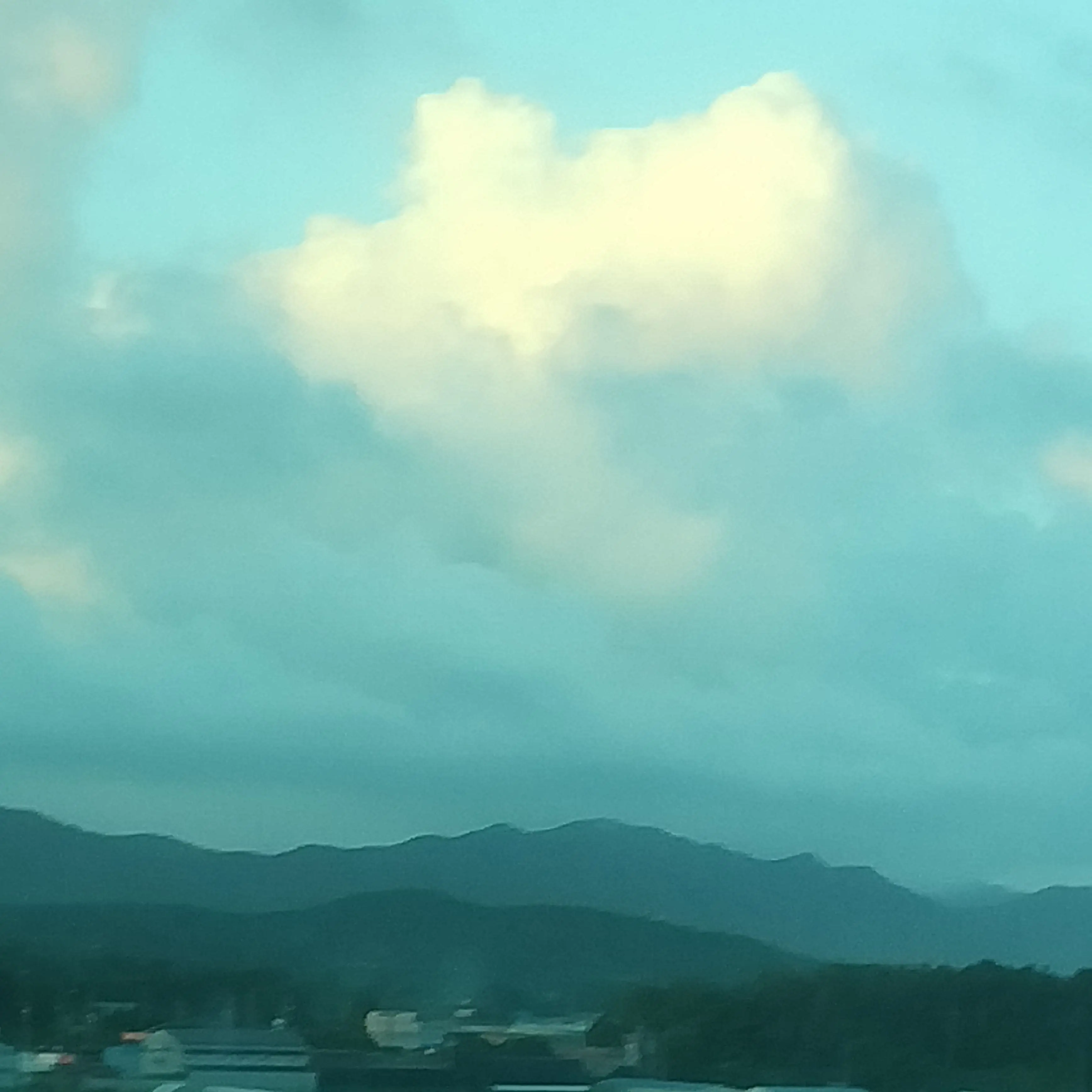 MeanNylon3207의 인제 아무도 믿지안구나...