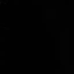 Profile image of 김동현