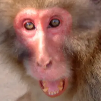 Profile image of りゅうせい