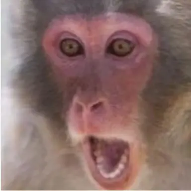 Profile image of あおば