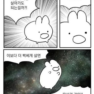 Profile image of 여우