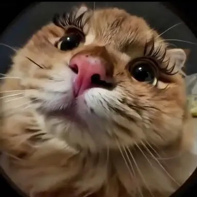 Profile image of 여학생들