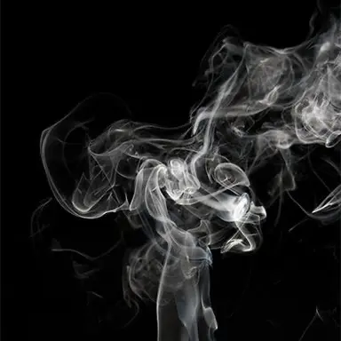 Profile image of 레비안