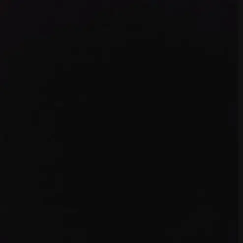 CoarseChunk6006의 7남매