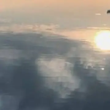 HandyApple9989의 ジャにのちゃんねる