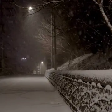 Profile image of 로보