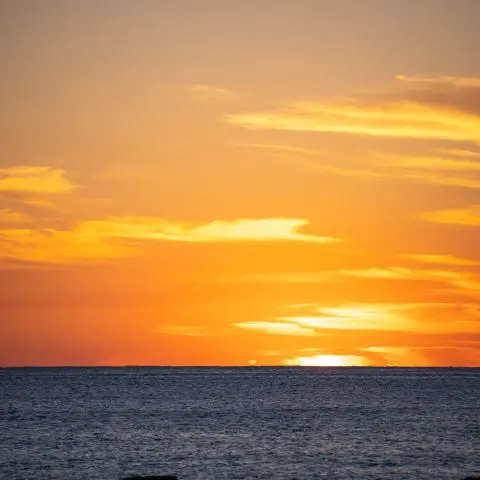 yosan.g의 스코시즘