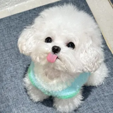 Profile image of 우유
