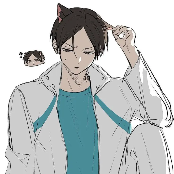 Sonuno__fann7422의 猫化しちゃった国見