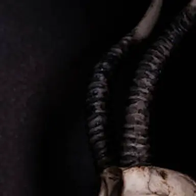 Profile image of 벡티드