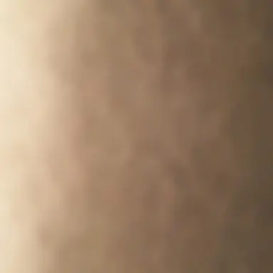 Profile image of 황현진