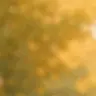 Profile image of .