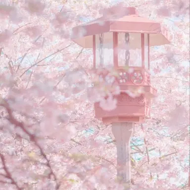 Profile image of 渚トラウト