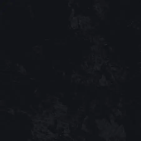 rrrsilv의 M.S