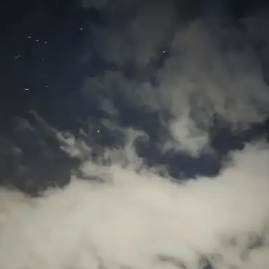 Profile image of 우융