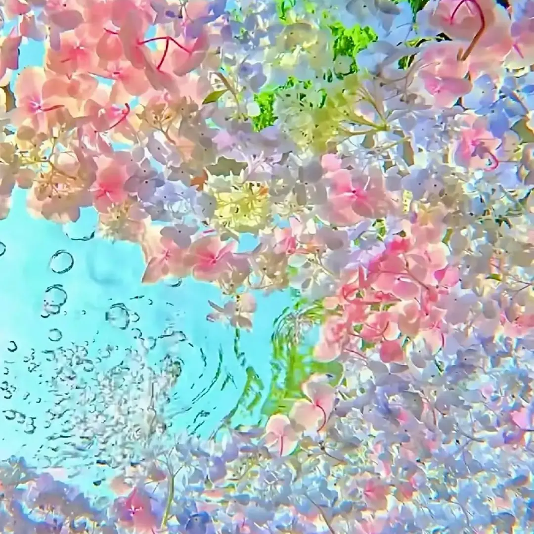 QuickGulf3182의 部活見学