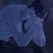 이 진
