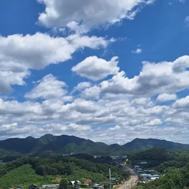 Profile image of 이정용