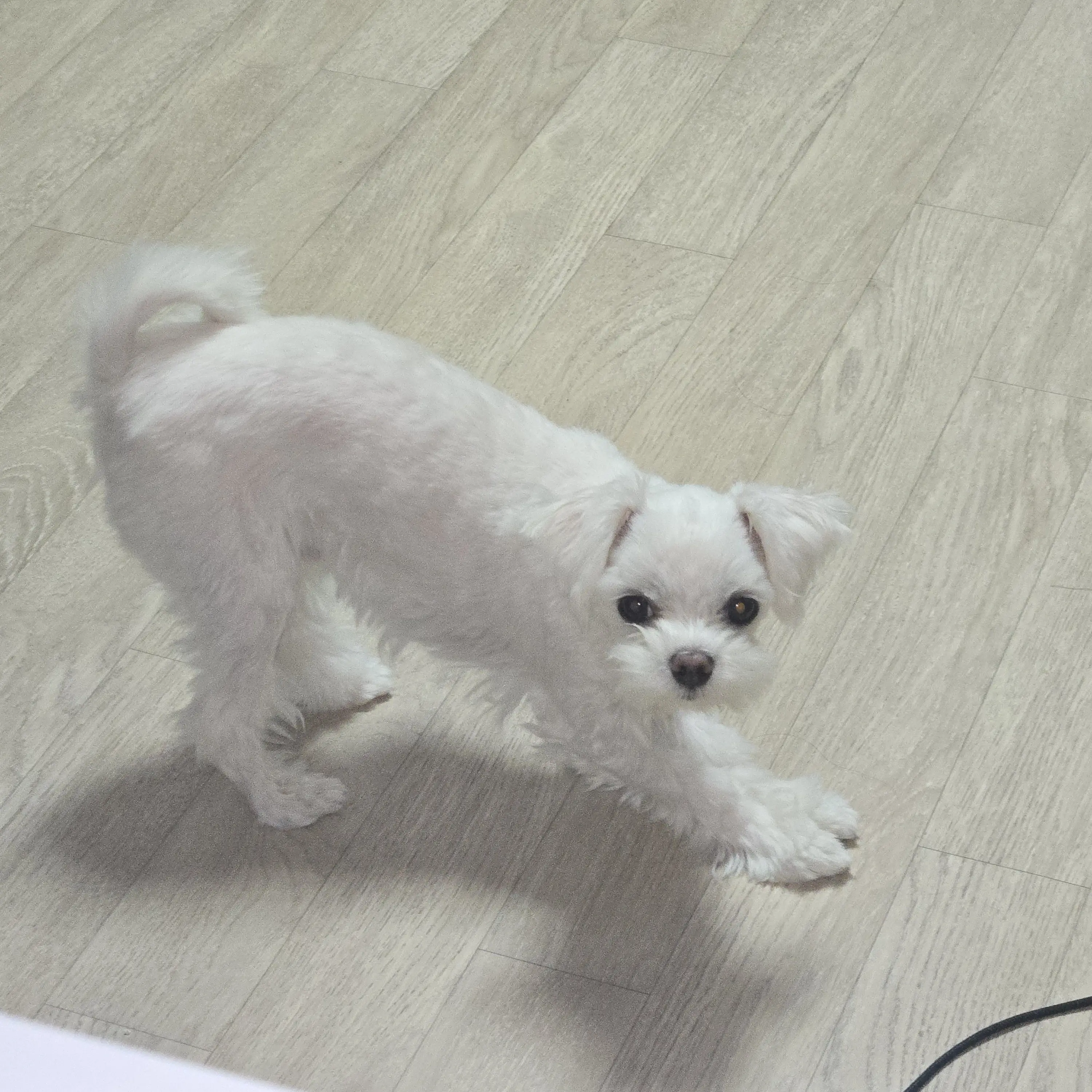 RipeKiwi5159의 ㄷ