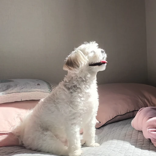 배리