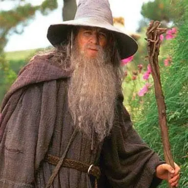 Profile image of Gandalf