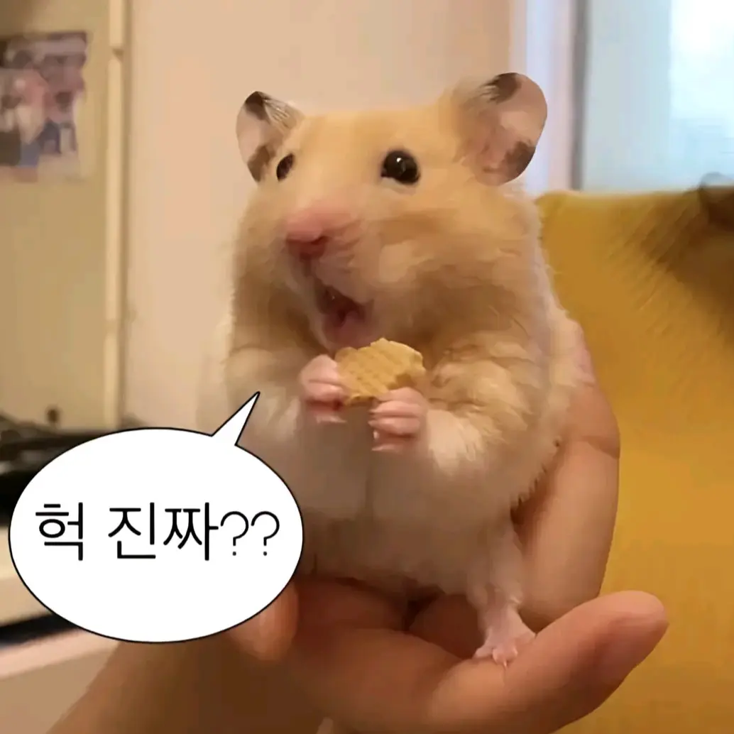 kioer93의 햄찌