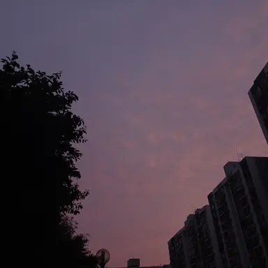 Profile image of 율
