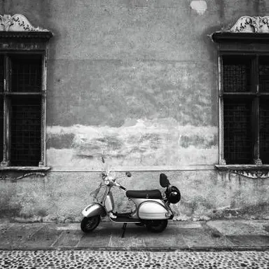 Profile image of 베이