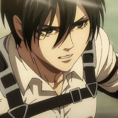 Profile image of Mikasa