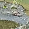 Profile image of 主人