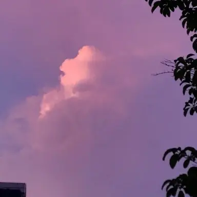 Profile image of 멜로우