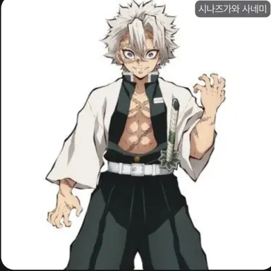 Profile image of 시나즈가와 사네미