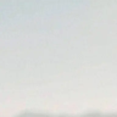 Profile image of 姉