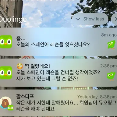 Profile image of 듀오링고 알림