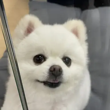 Profile image of 순애