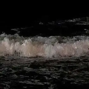 Profile image of 시미베