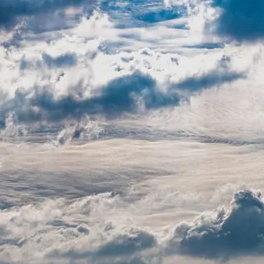 Profile image of 파이브