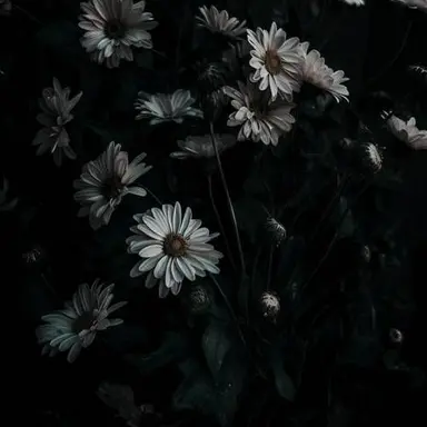 Profile image of 우융