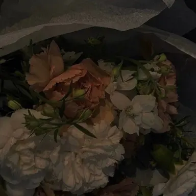 Profile image of 코마