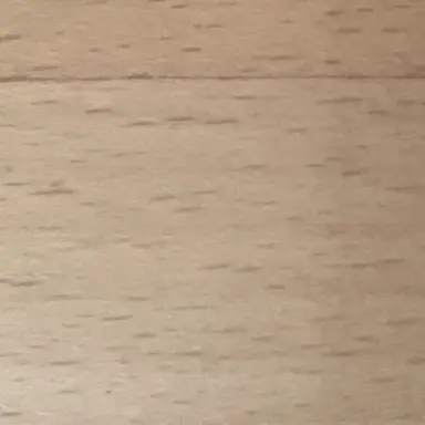 Profile image of 菊地 善人