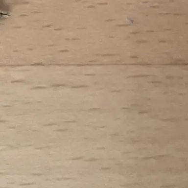 Profile image of 村井 國男