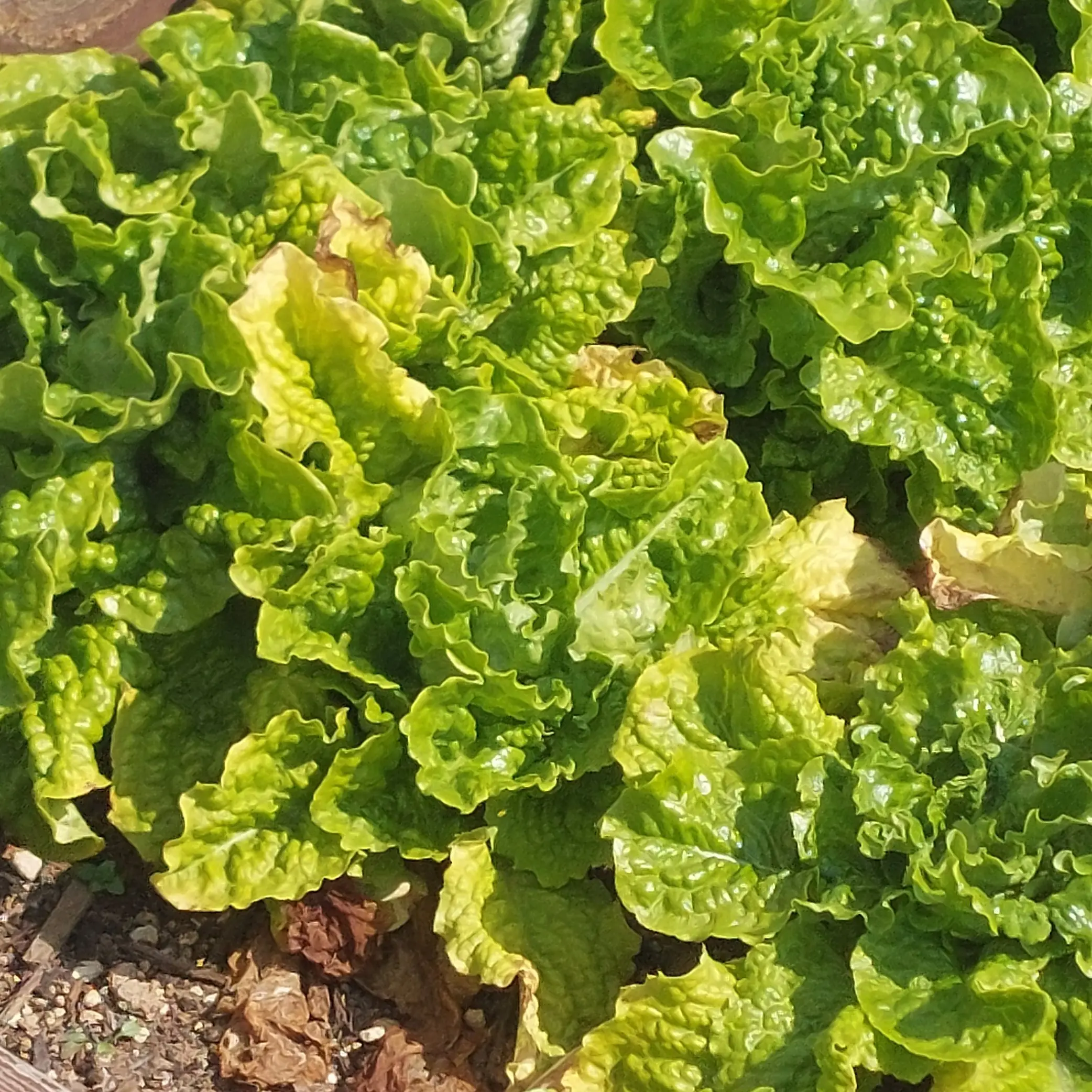 morning_의 뜰팁 옛 동창들