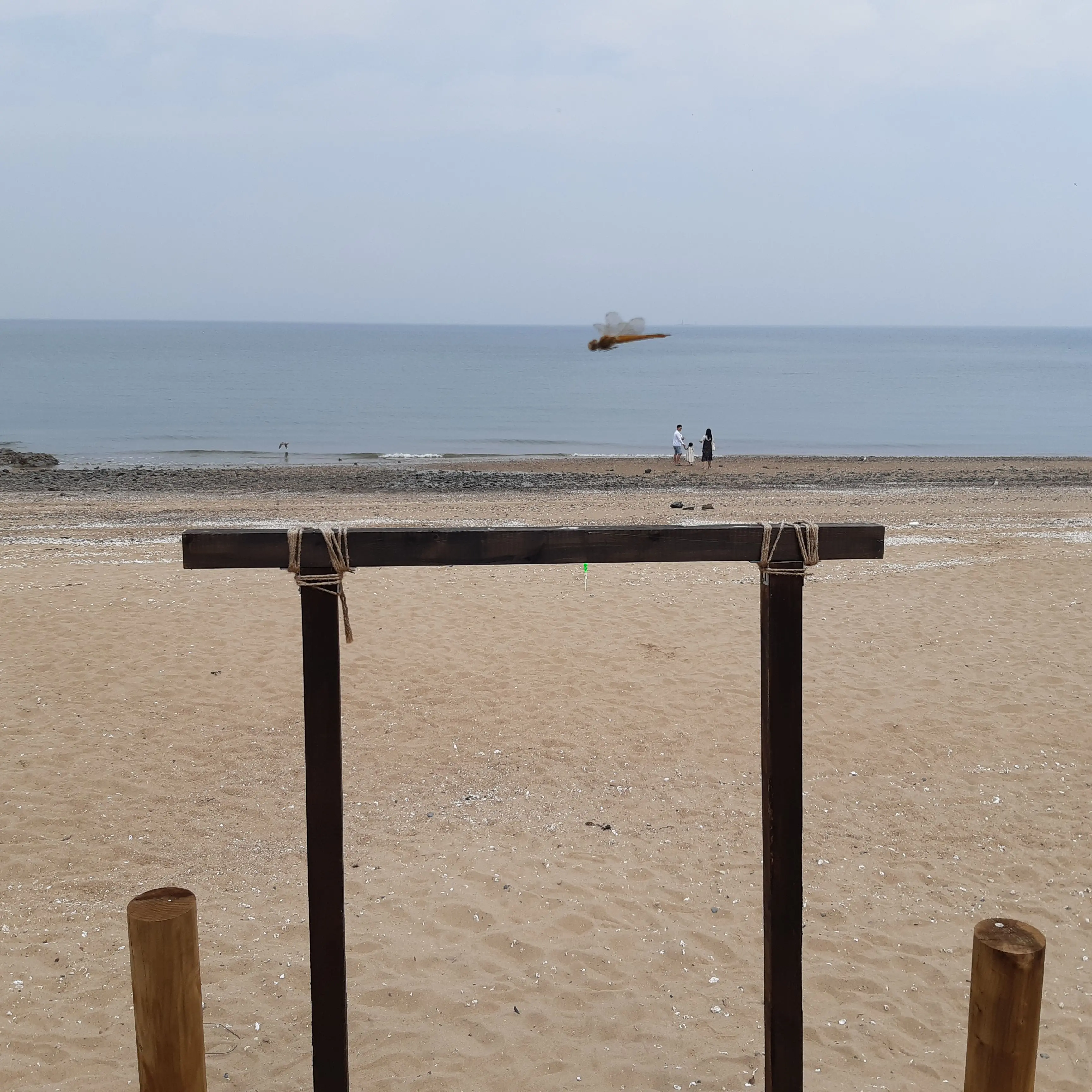 LocalSwine7747의 꽥꽥탐험대(찐따)+견우와선녀