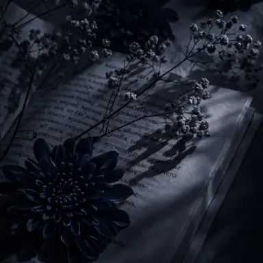 Profile image of 미즈기